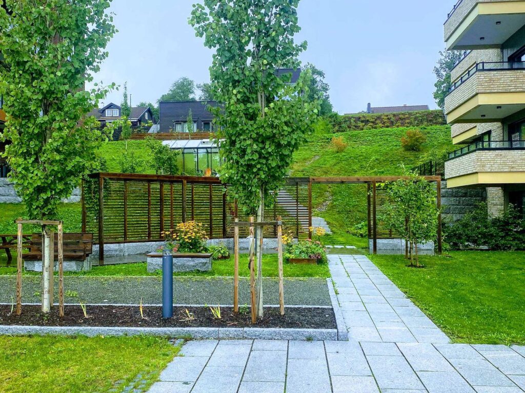 Hageanlegg med pergola, beplantning og gangsti