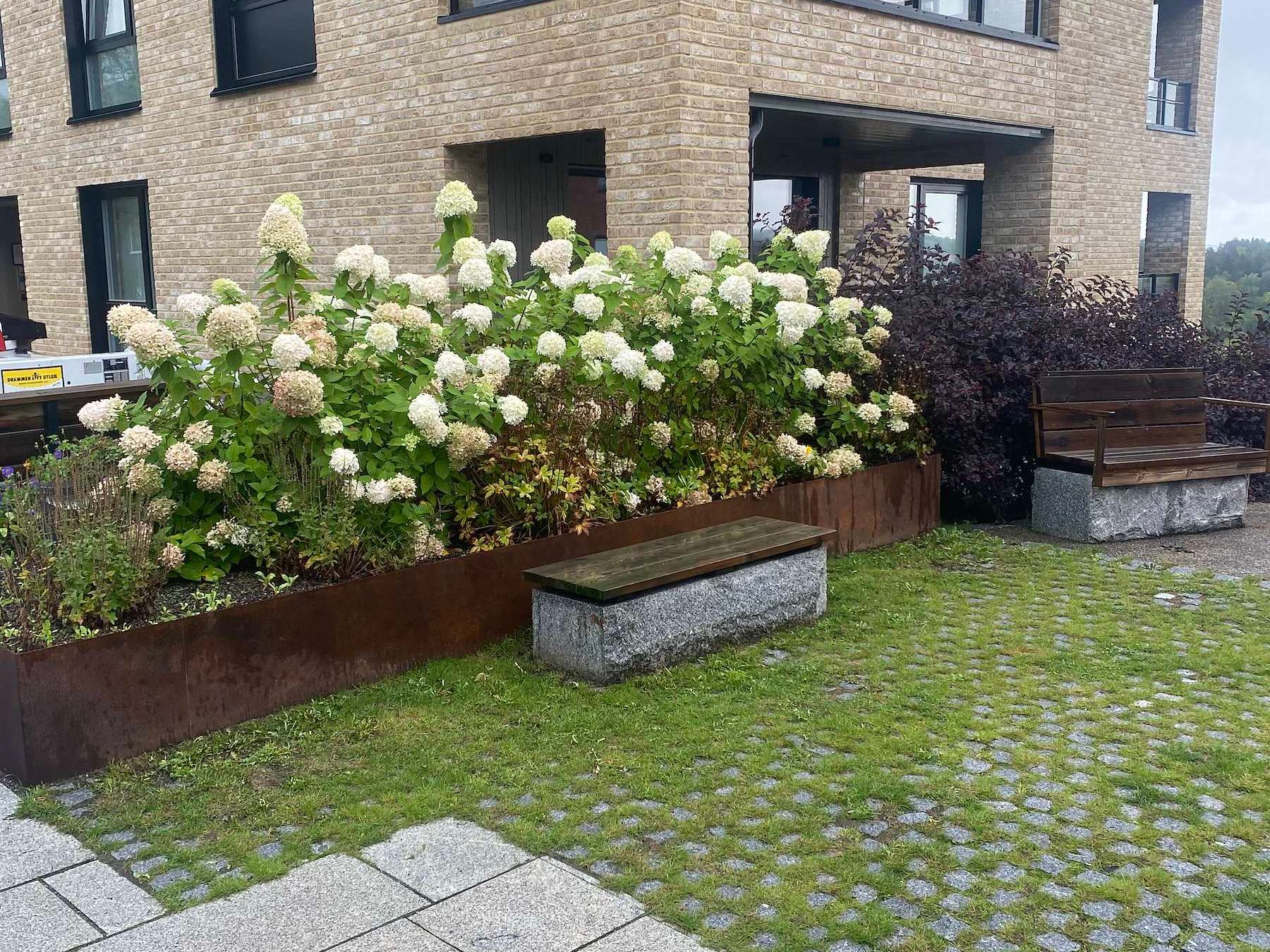 Hortensia i plantekasse ved dekke av granitt og gress-armering