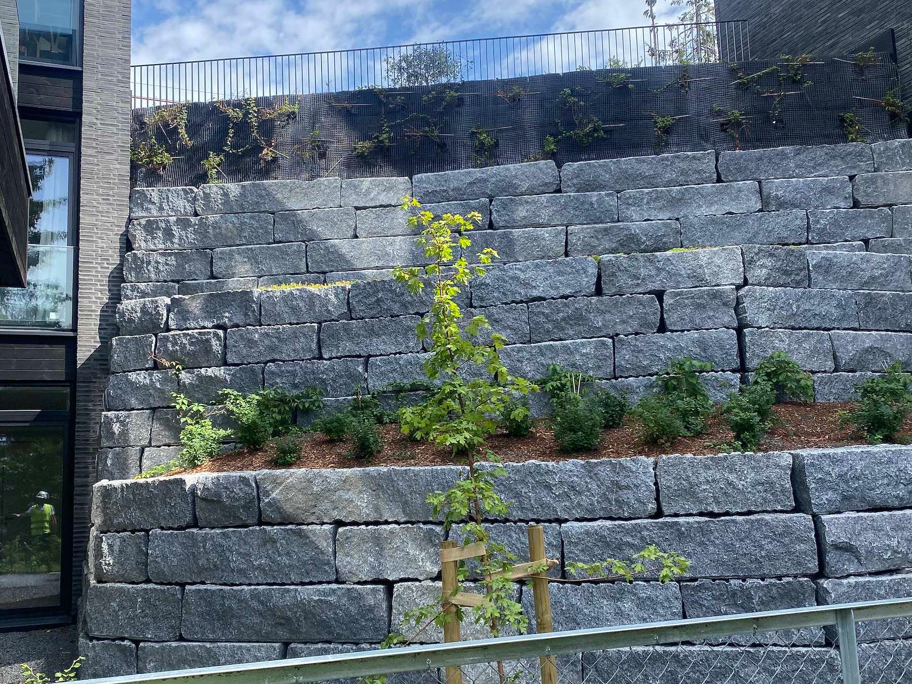 Støttemur i naturstein med ny beplantning ved boligbygg